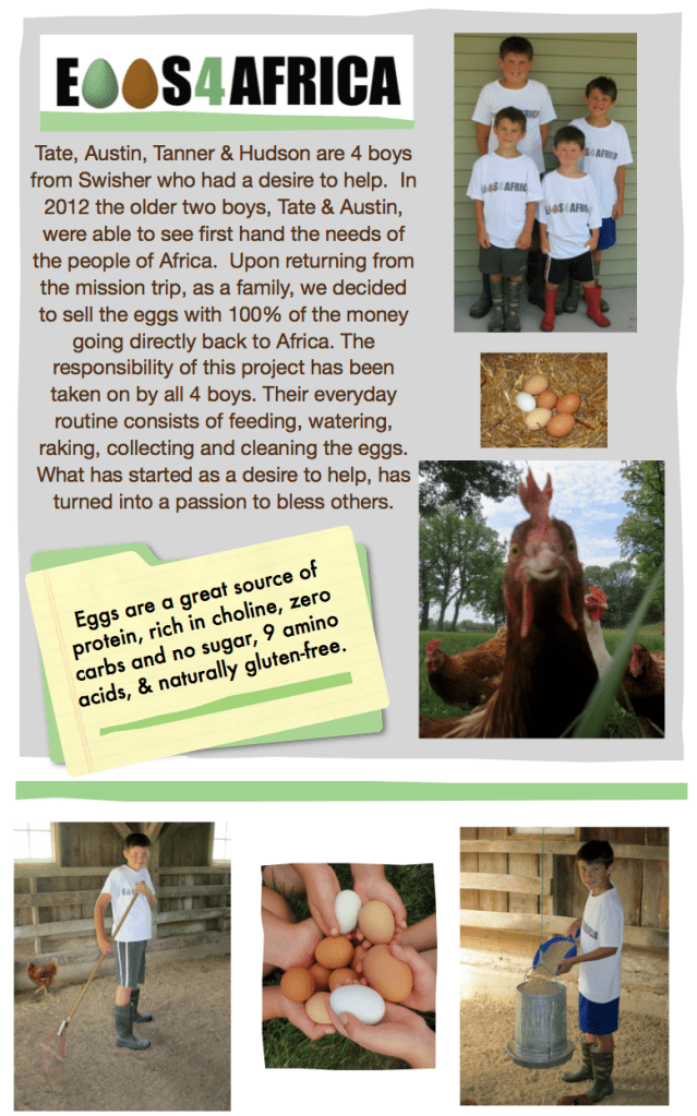 eggs4africa